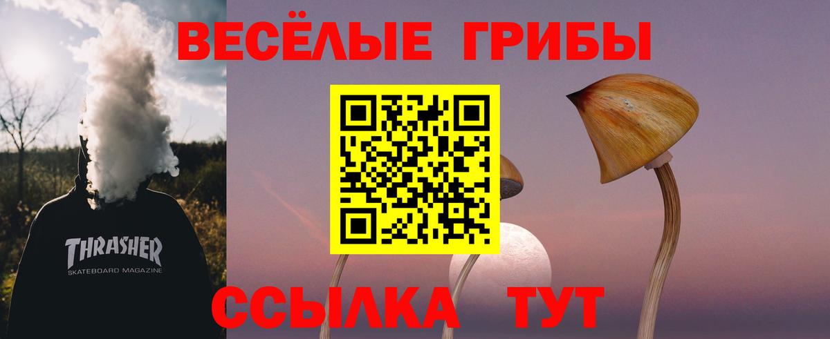Псилоцибиновые грибы ЛСД  Галлюциногенные грибы Magic Shrooms  Клин  Вход с VPN 